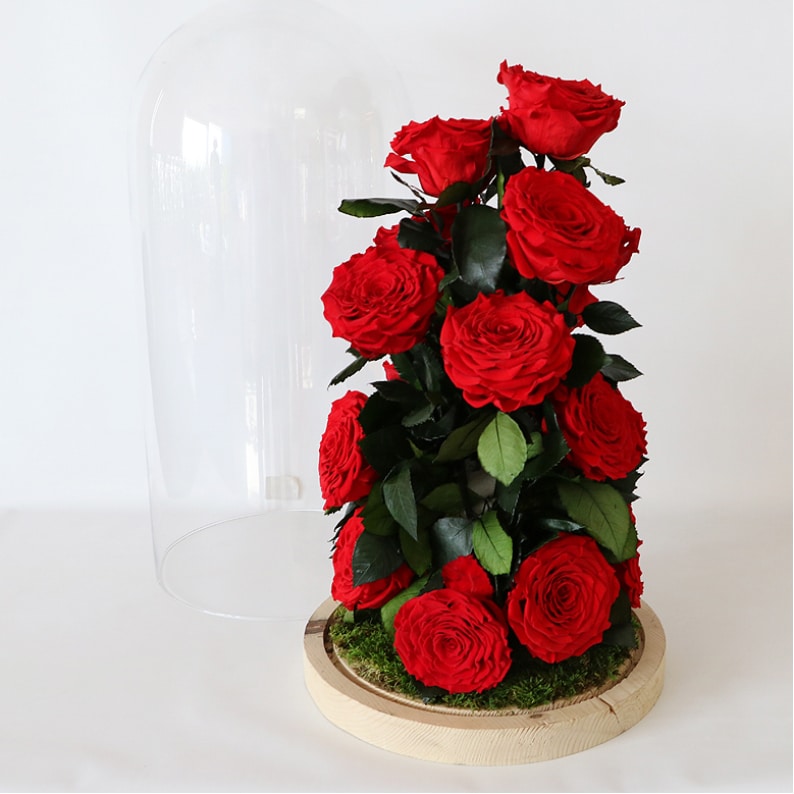 Long lasting Red Roses rose amor long lasting red roses in glass dome vase