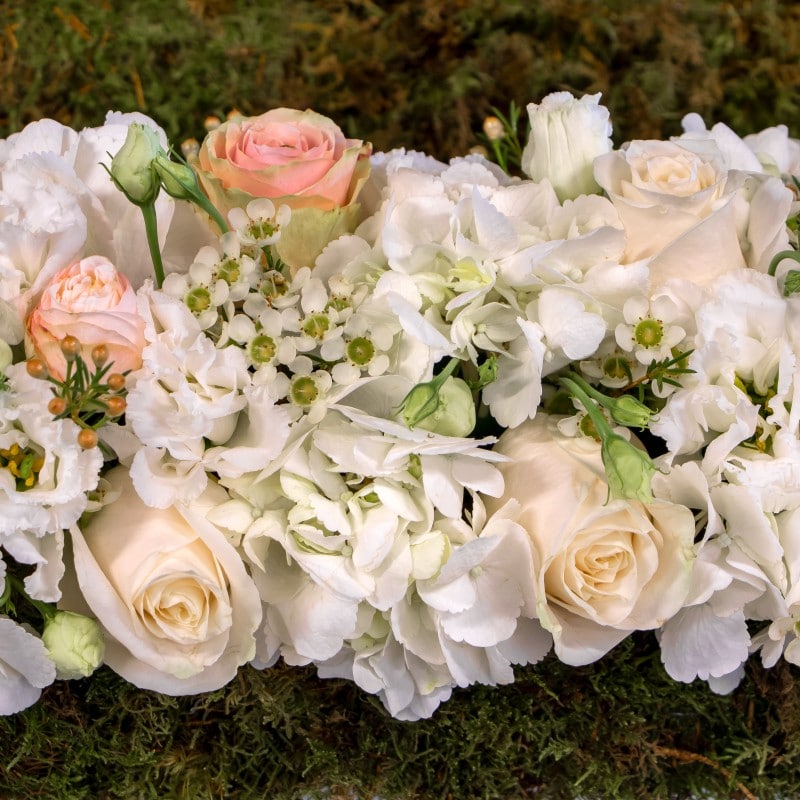 luxury close close up of hydrangea, roses and wax flower
