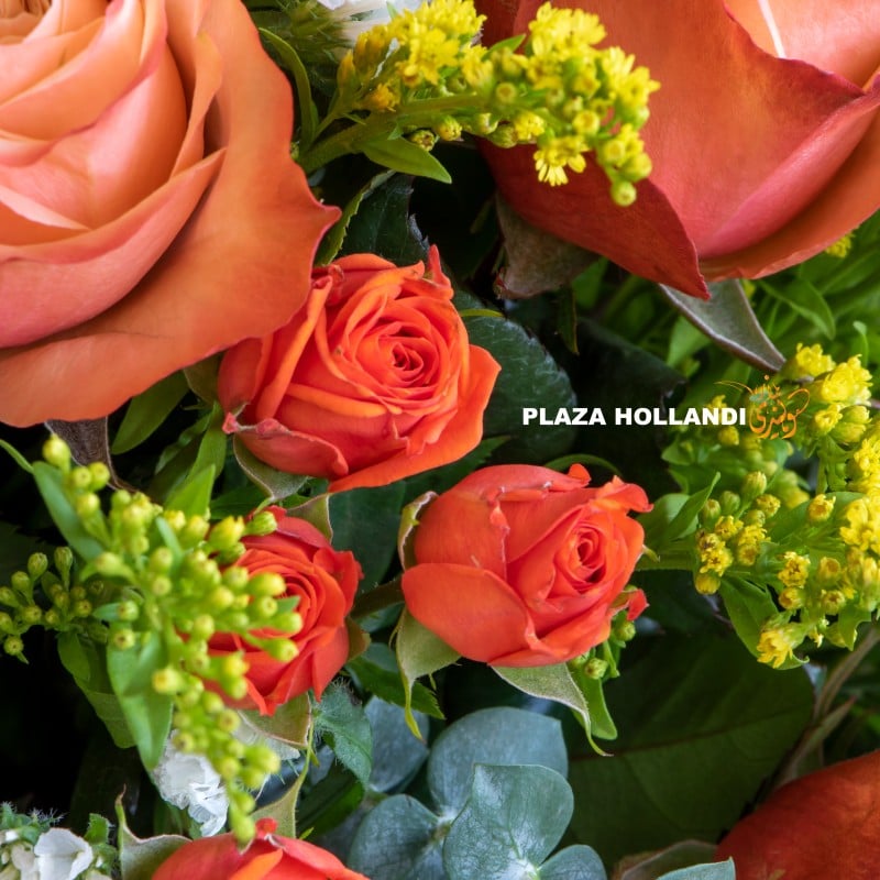 latifa close up of spray roses