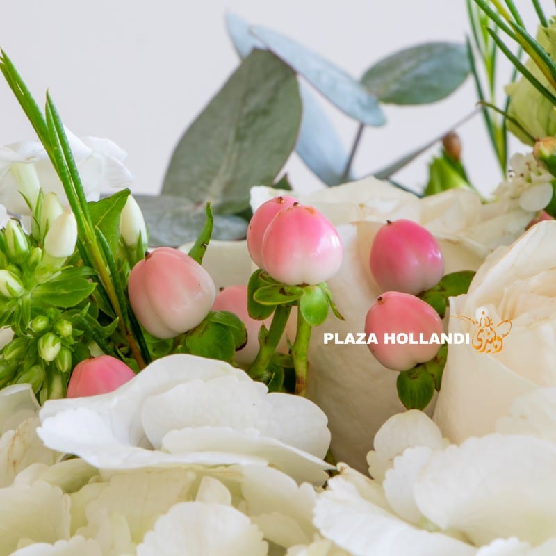 rana Plaza Hollandi close up of hypericum and hydrangea