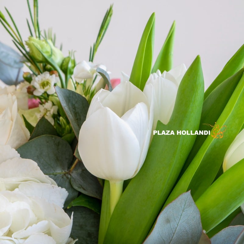 Rana Plaza Hollandi white hydrangea arrangement