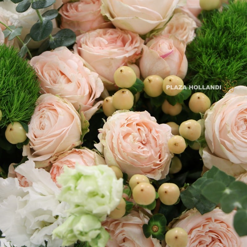 1.3 close up of peach spray roses