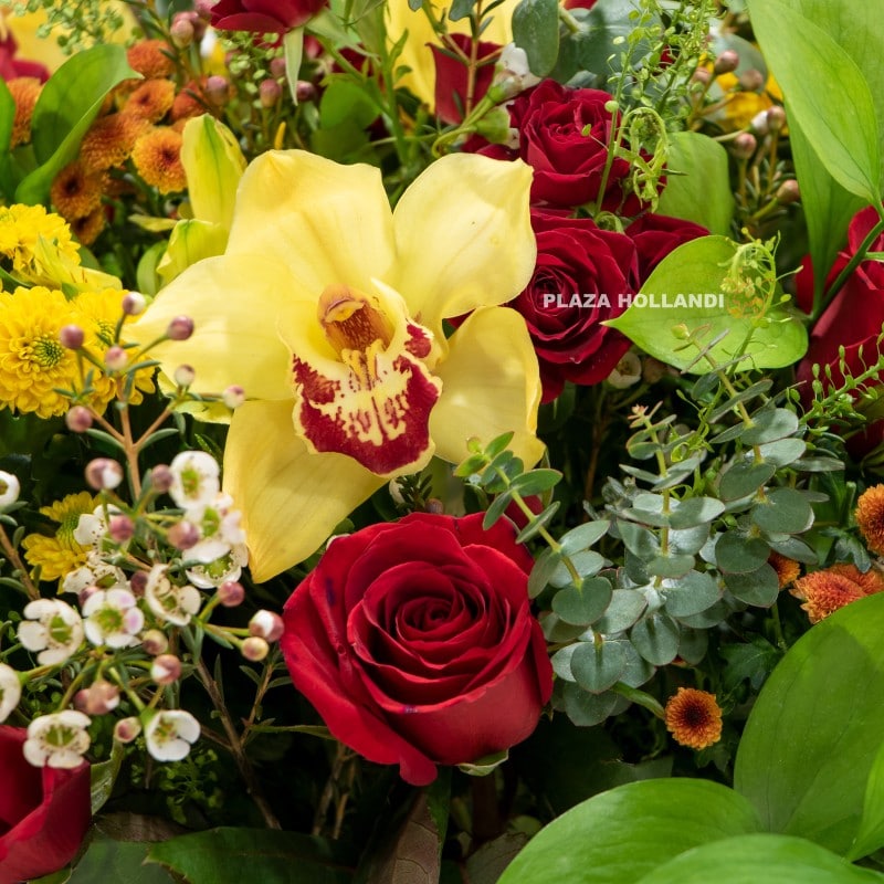 3.2 close up of yellow cymbidium orchid flower