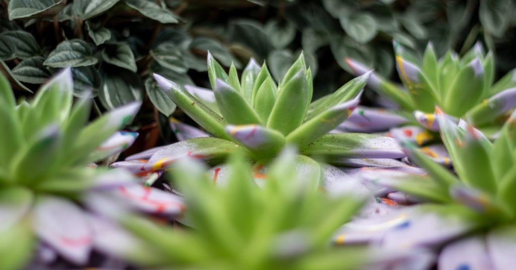 banner best seller 5