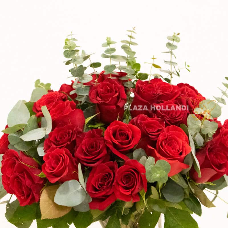 GV5 50 red roses with eucalyptus in a vase