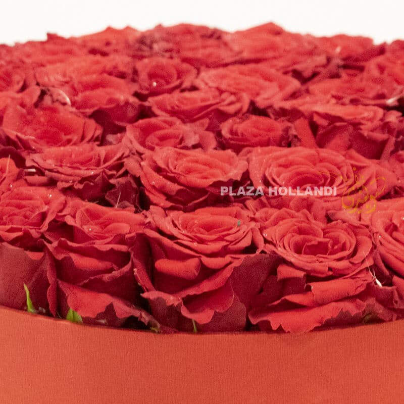 Red Box 3 Long lasting roses in a red box