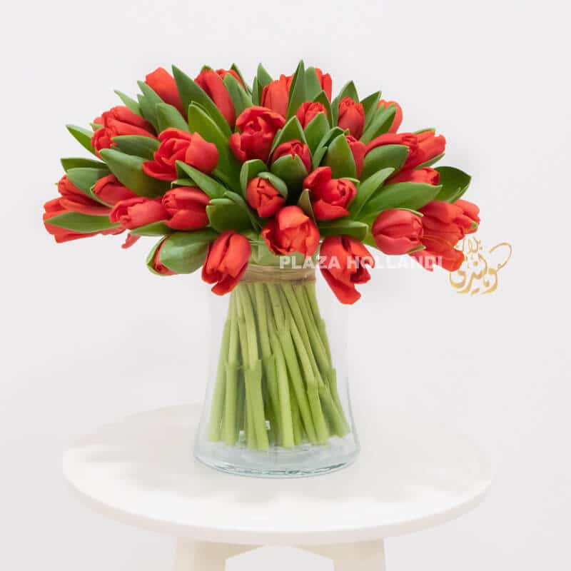 Red Tulip red tulip bouquet of flowers