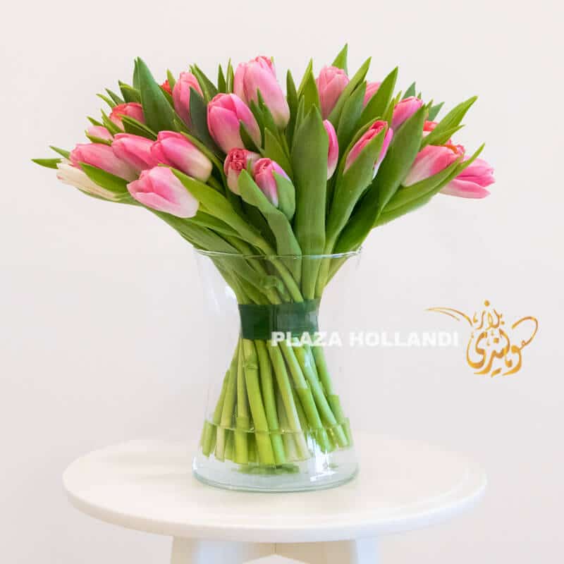 01 Pink tulips in a glass vase