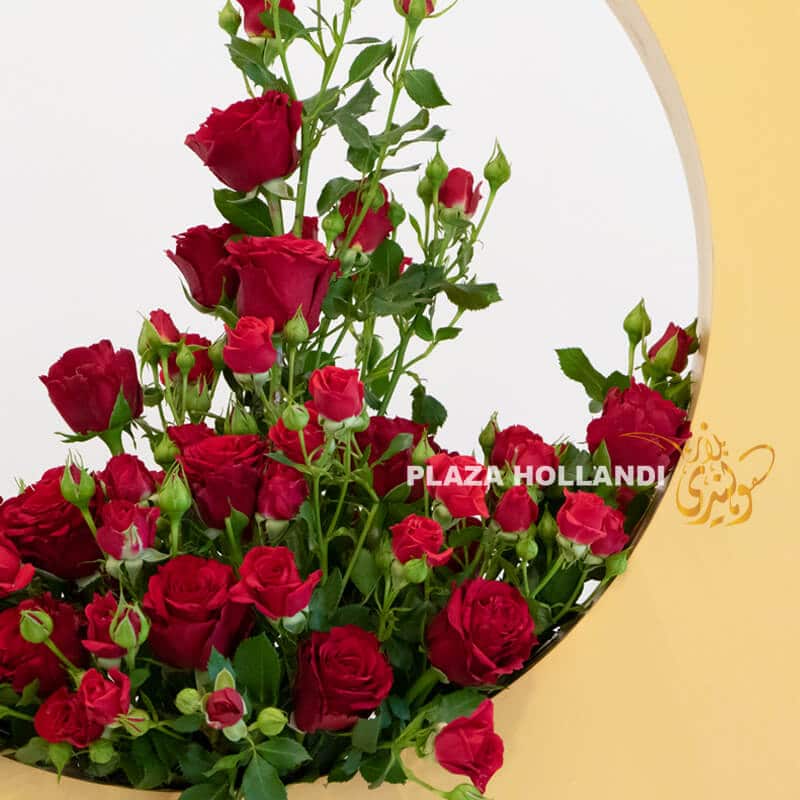 Moon C 2 close up of red roses, red spray roses