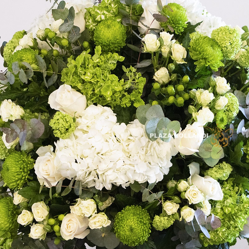 RK 2 close up of green and white flowers
