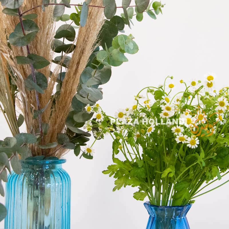 S7 daisy flowers in a vase