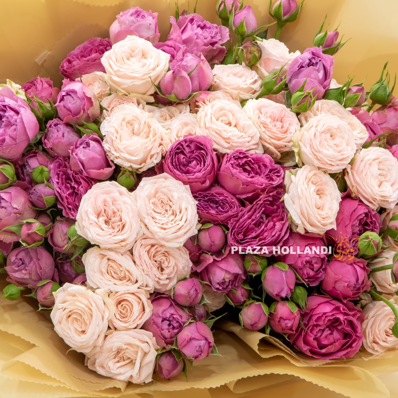 Fiter flower Bouquet FLOWERS PLAZA HOLLANDI