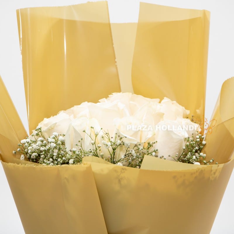 3.1 close up of roses