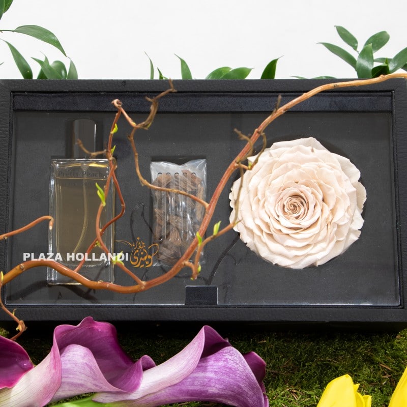 long lasting rose FLOWERS PLAZA HOLLANDI