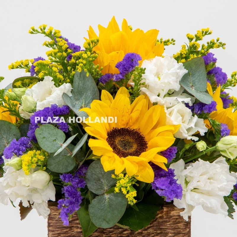 3.1 Close up of sunflowers