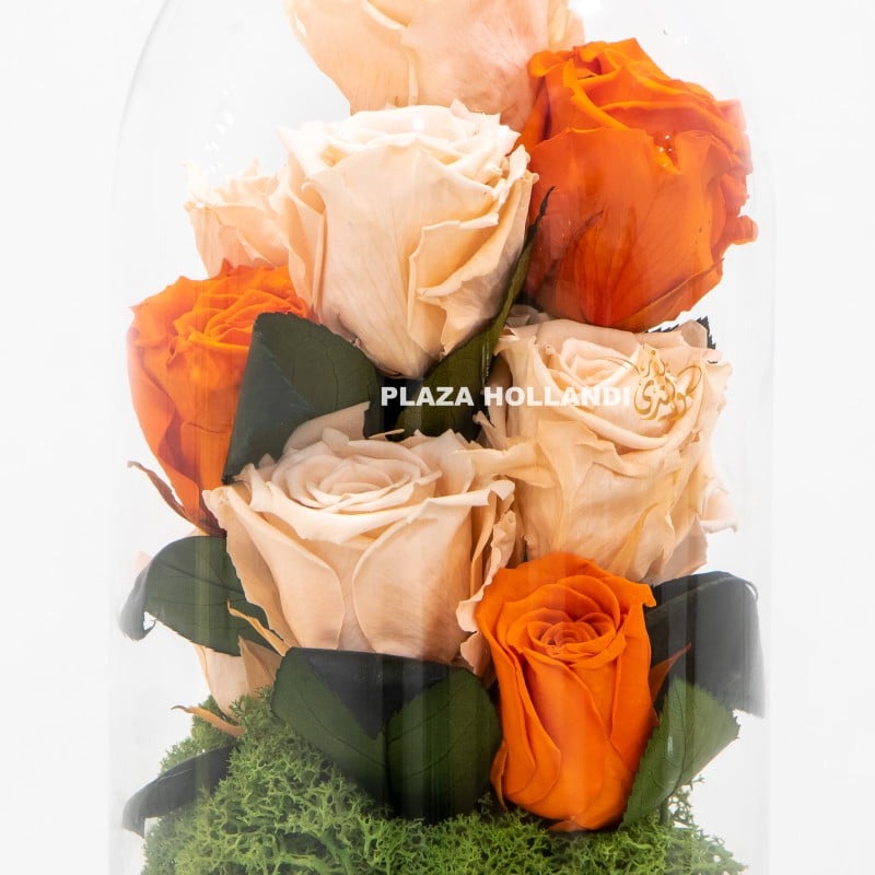 10.1 close up of orange and peach preserved roses