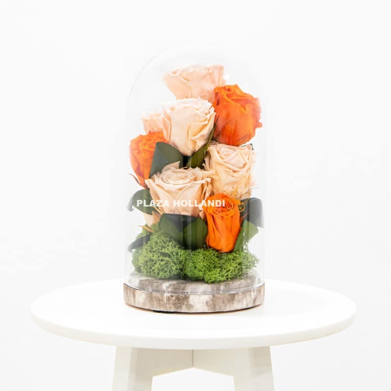 10 Orange and peach preserved rose design