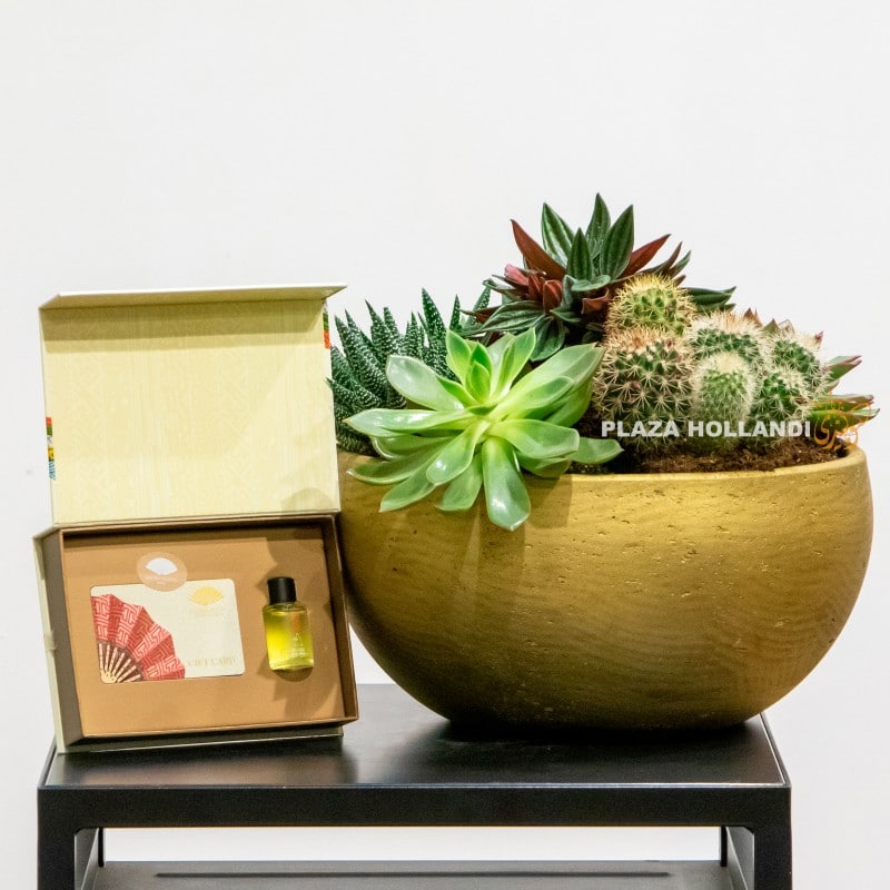 2.2 Close up of spa voucher