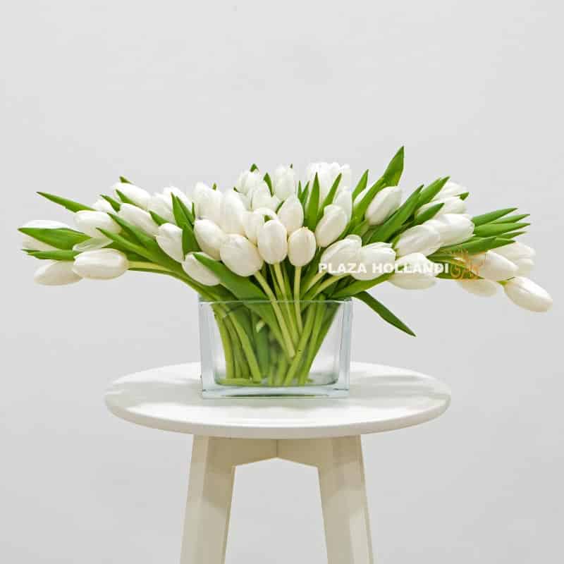 50 White Tulips In a Vase 50 White Tulips In a Vase