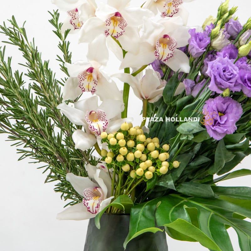 4.1 Plaza Hollandi - Best Flower and Plant shop in Qatar