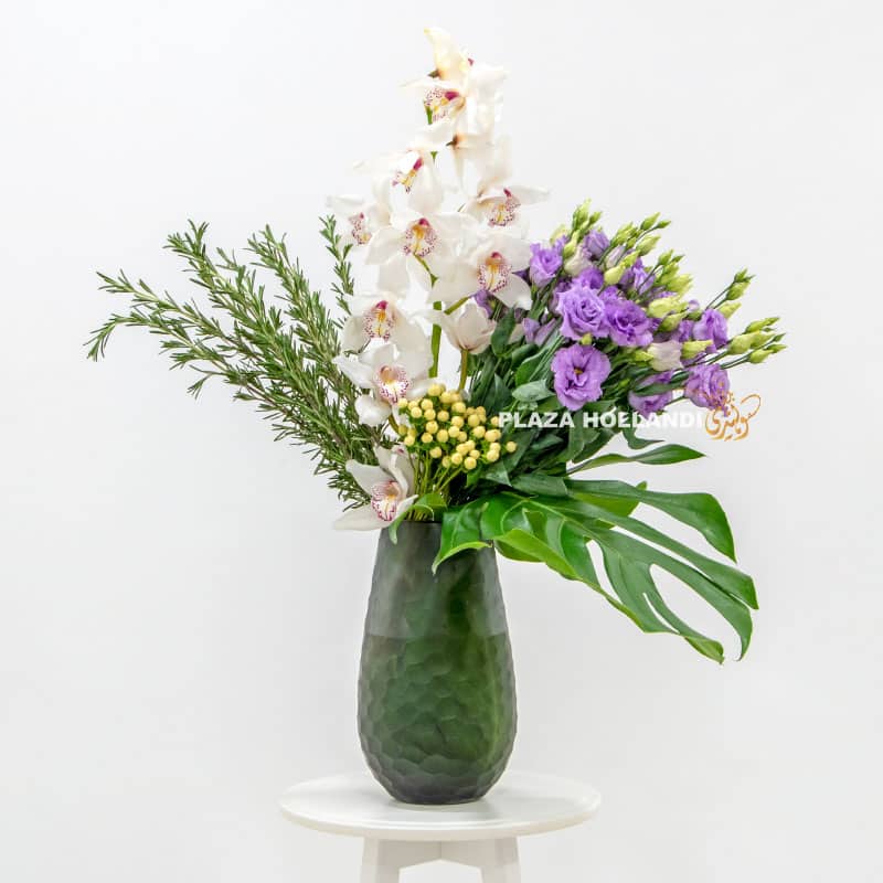 4 Plaza Hollandi - Best Flower and Plant shop in Qatar