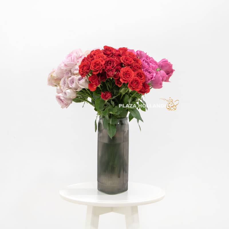 2 Spray Roses in a Vase - Plaza Hollandi