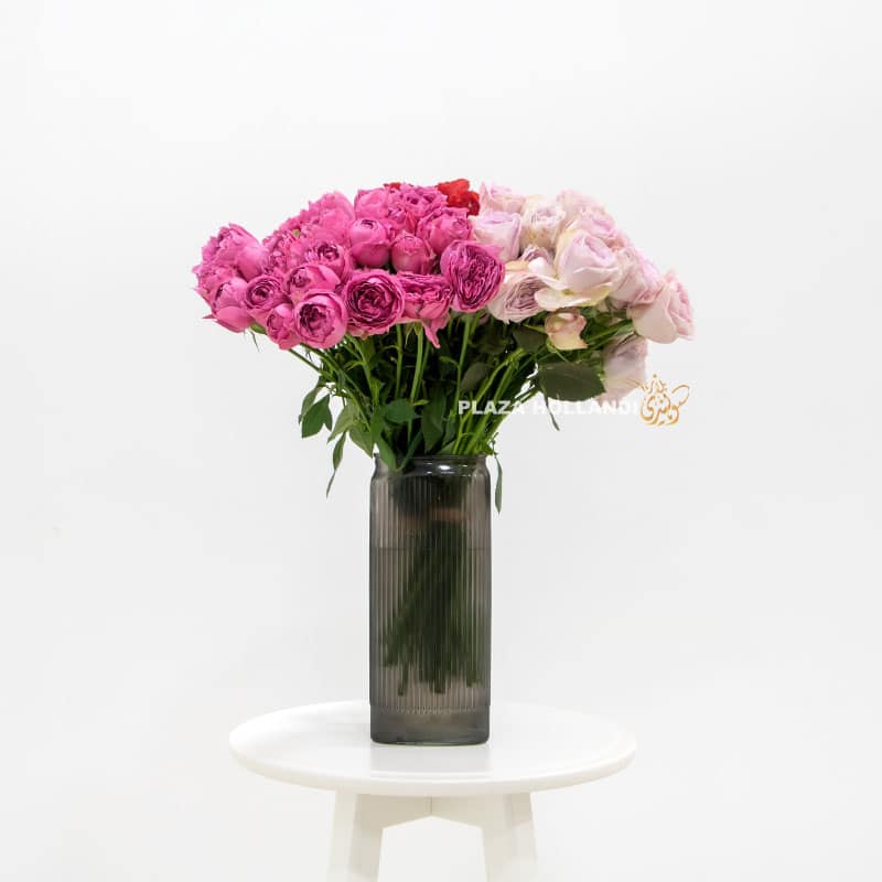 2.2 Spray Roses in a Vase - Plaza Hollandi