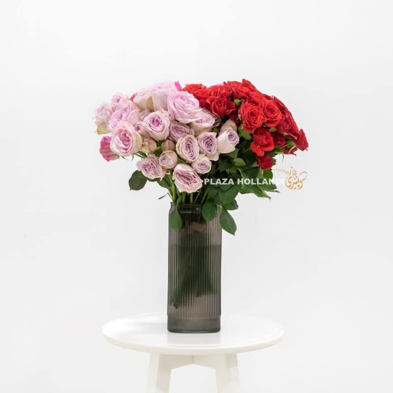 2.3 Spray Roses in a Vase - Plaza Hollandi