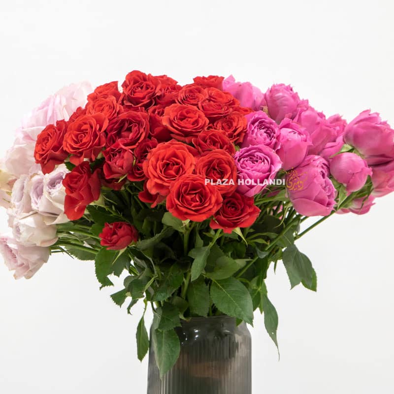 2.4 Spray Roses in a Vase - Plaza Hollandi