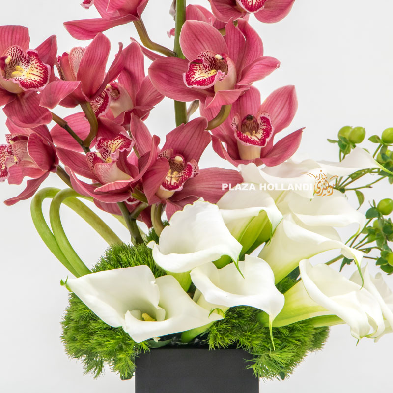 3.1 Close up of cymbidium orchids in a box