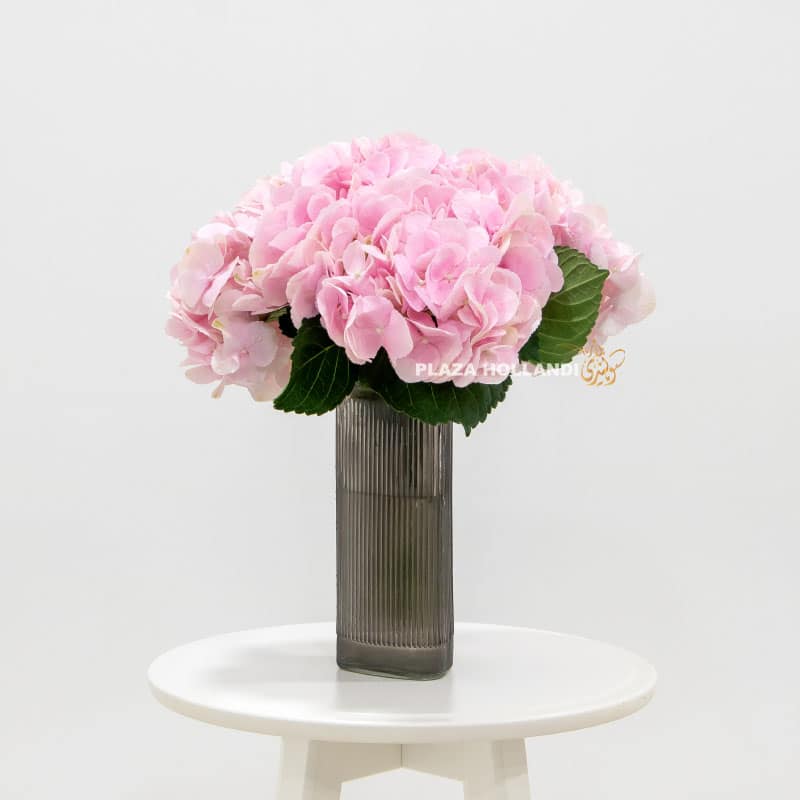 4 Just Hydrangea in a vase - Plaza Hollandi