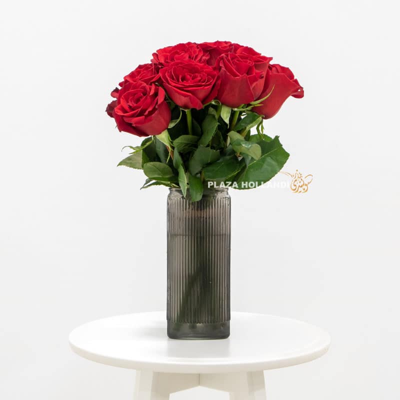 5.2 Red Roese - Plaza Hollandi