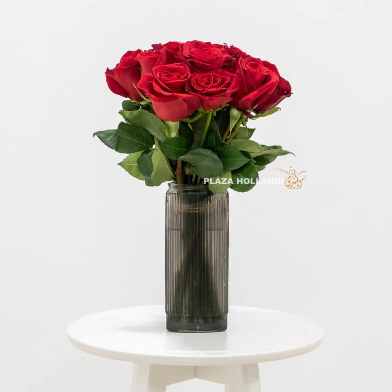 5.3 Red Roese - Plaza Hollandi