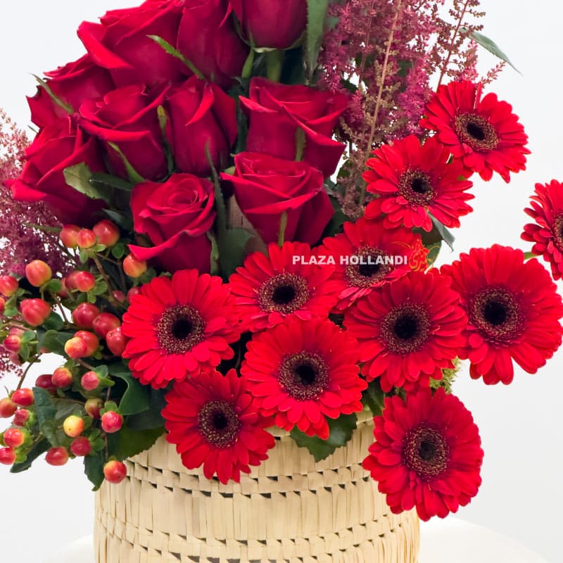 1.2 Close up of red flowers