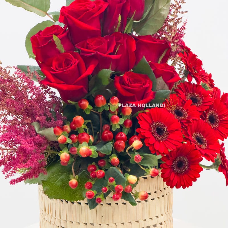 1.3 Close up of red flowers