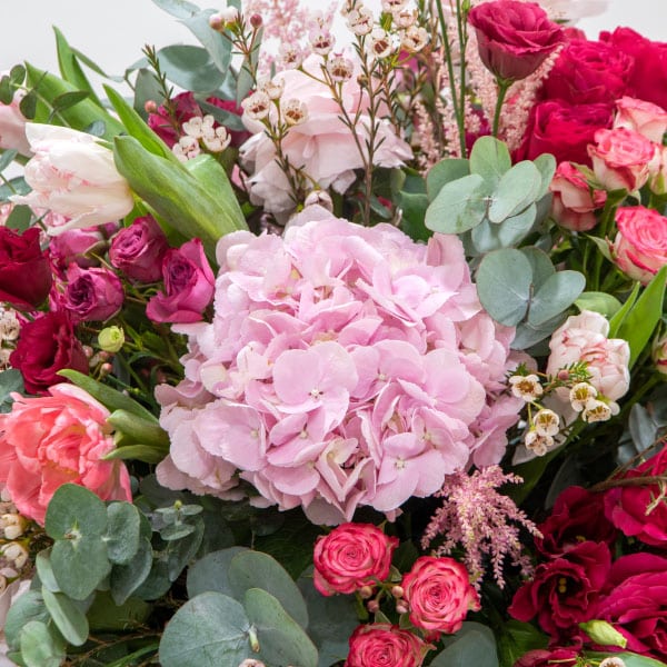 13.2 Close up of pink flowers