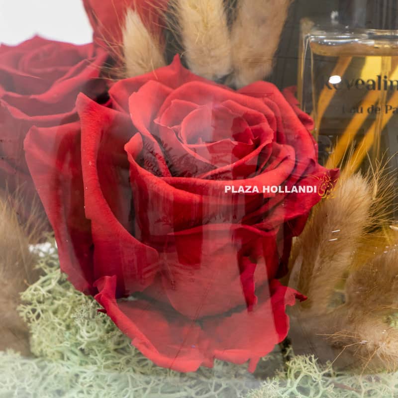 3.3 Close up of red preserved rose