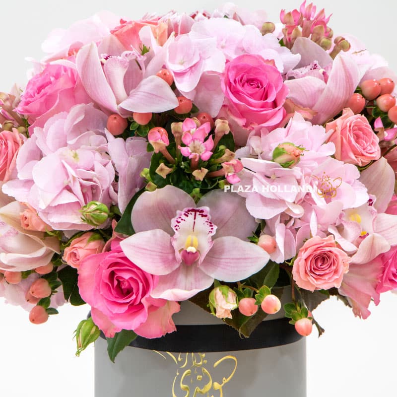 2.1 Close up of pink flowers