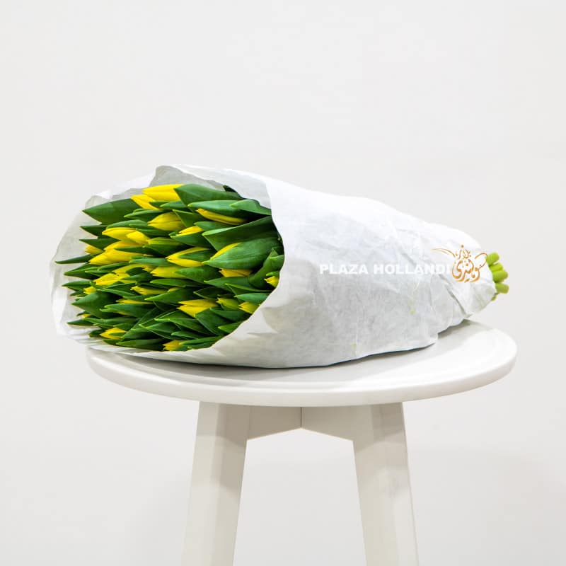 1 50 yellow tulips