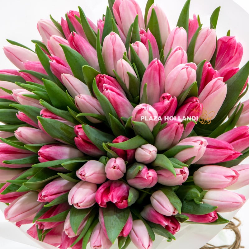 1.3 Pink tulip bouquet