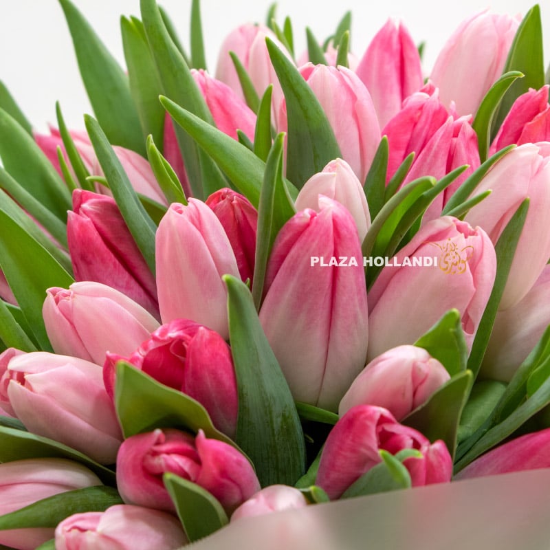 1.4 Pink tulip bouquet