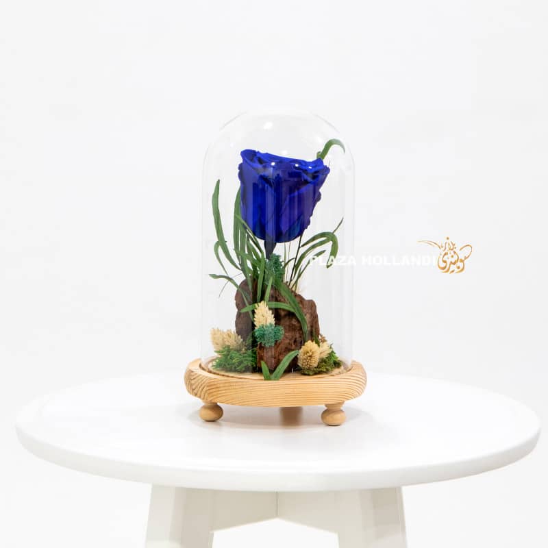 3 Blue preserved roses for fathers day