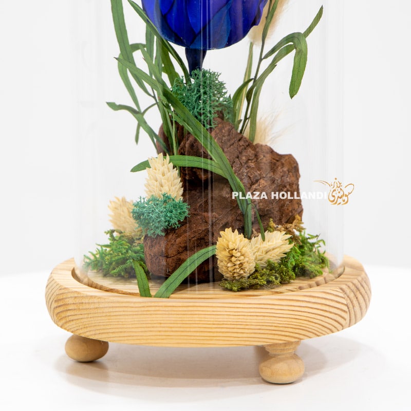 3.2 Close up of preserved blue rose