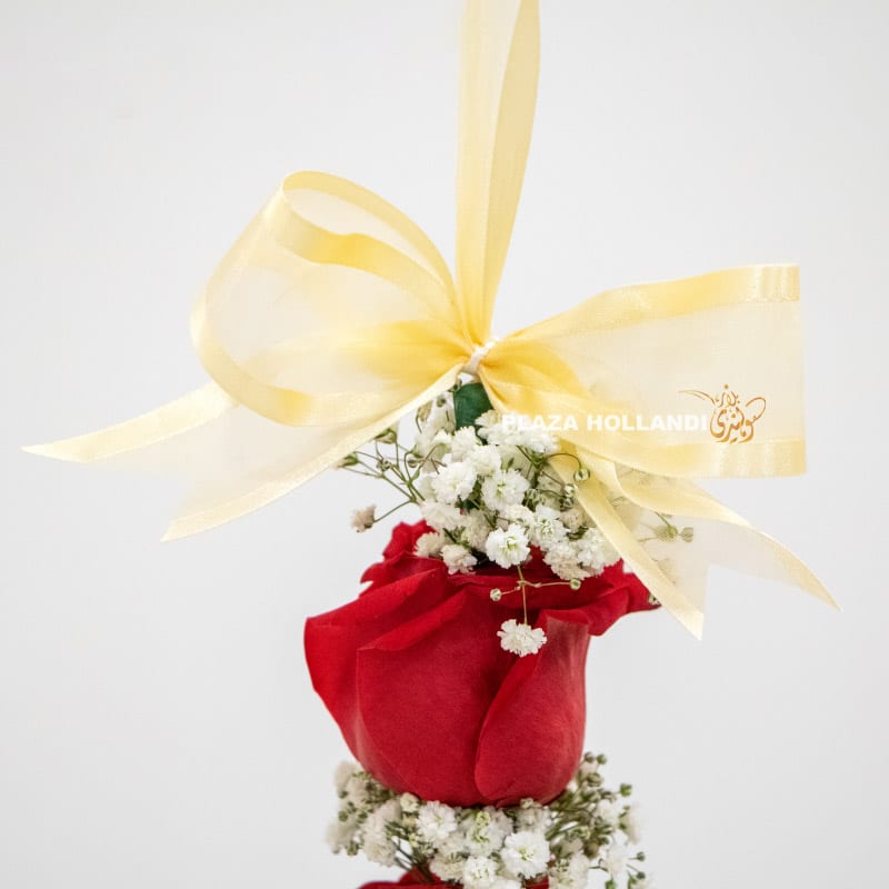 4.2 close up of bow on graduation garland