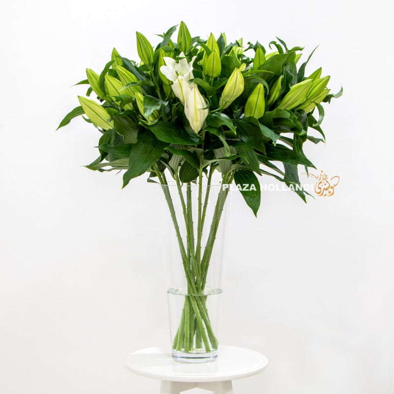 5 Tall Vase full of lily