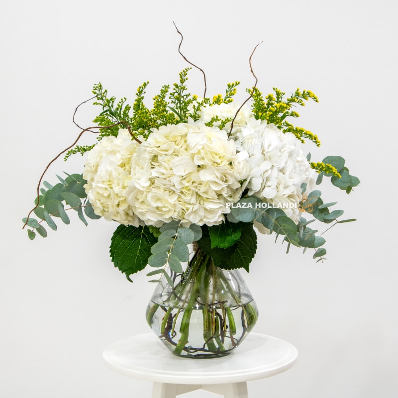 Dhabya Flower Bouquet Plaza Hollandi