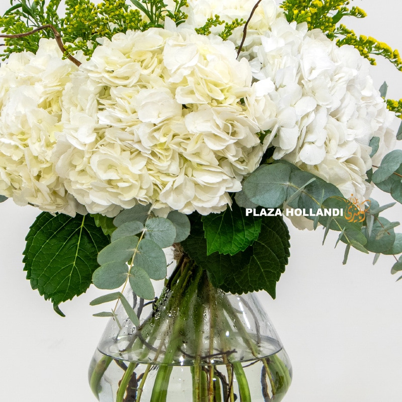 Dhabya Flower Bouquet Plaza Hollandi