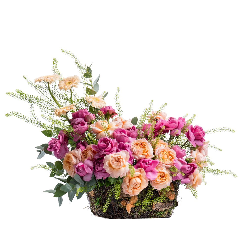 Au-02.jpf_.jpg Au 02.jpf