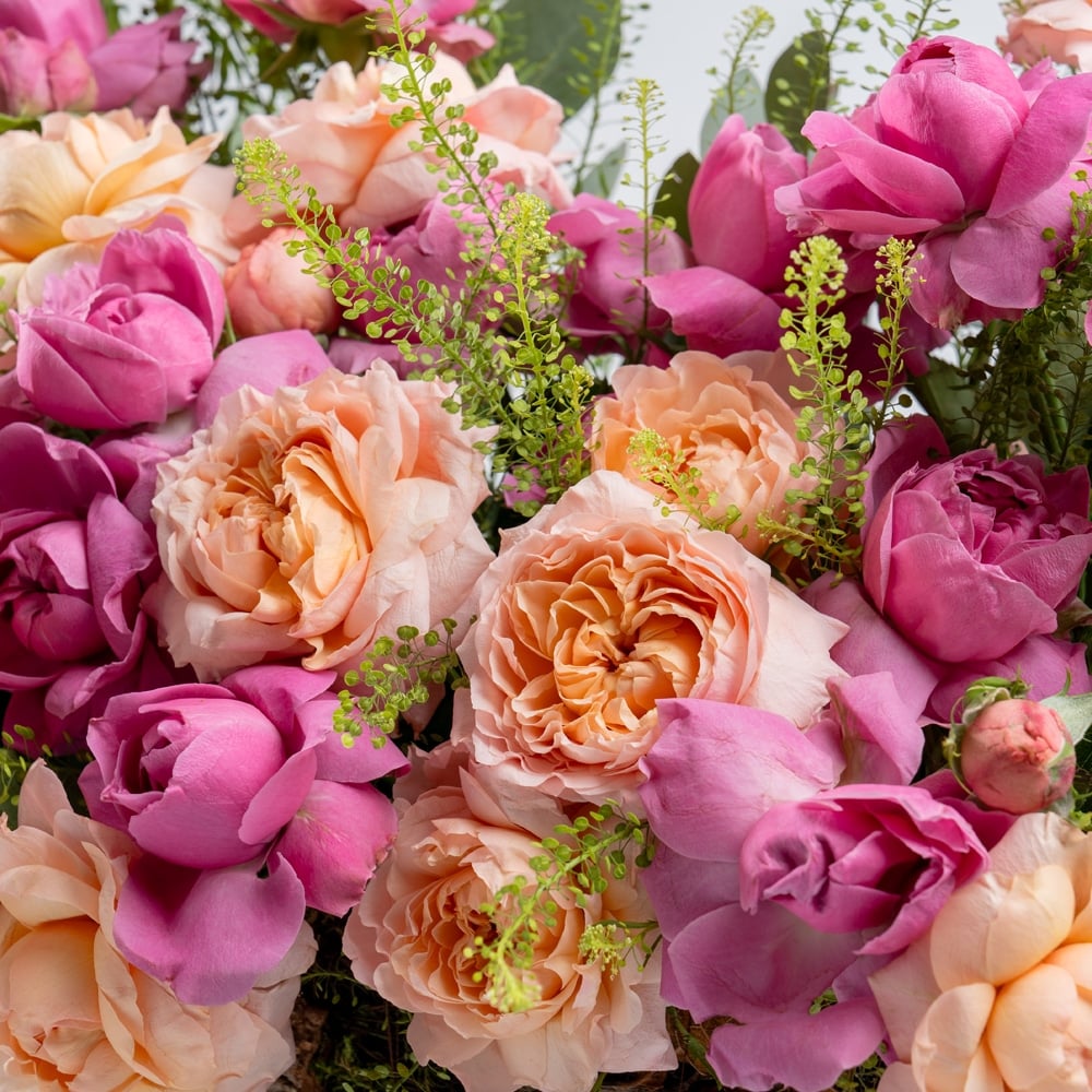 Au-02A.jpf_.jpg Au 02A.jpf