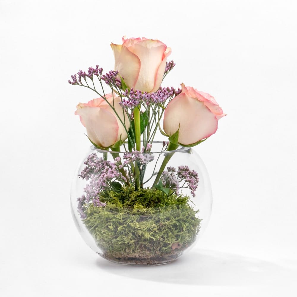 Teachers-day-11.jpg Teachers day 11